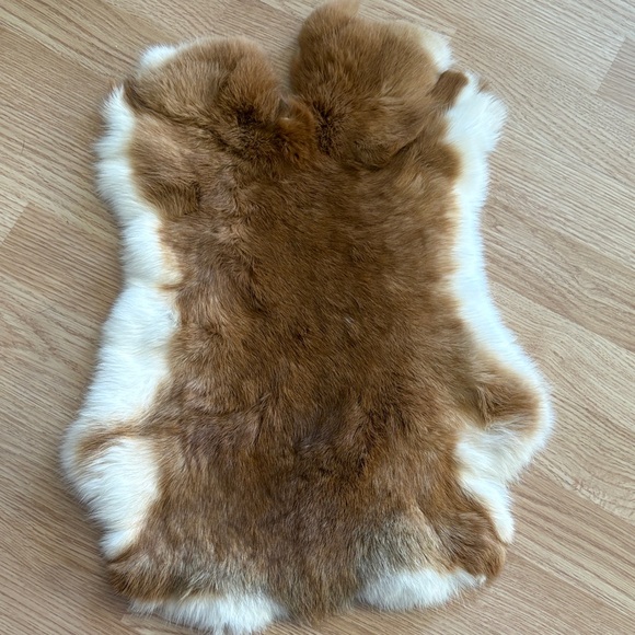 #0323 rabbit pelt - Picture 2 of 4